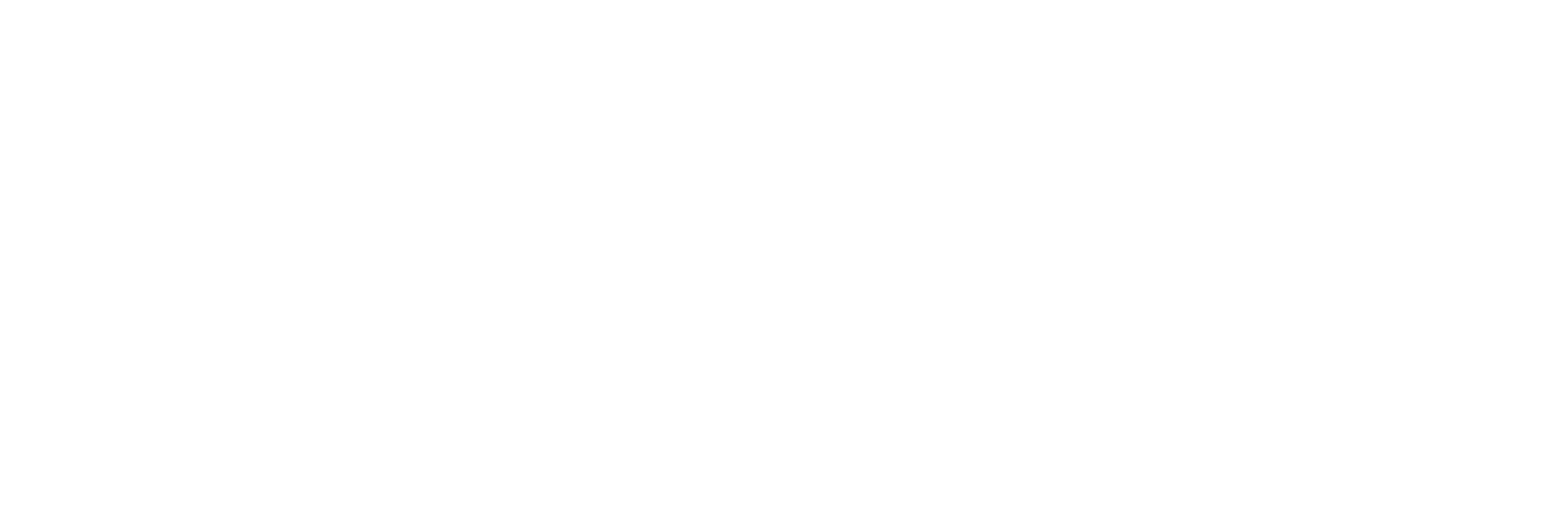 Elevation Physical Therapy